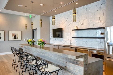 Clubhouse Bar Counter at 1405 Point, Maryland